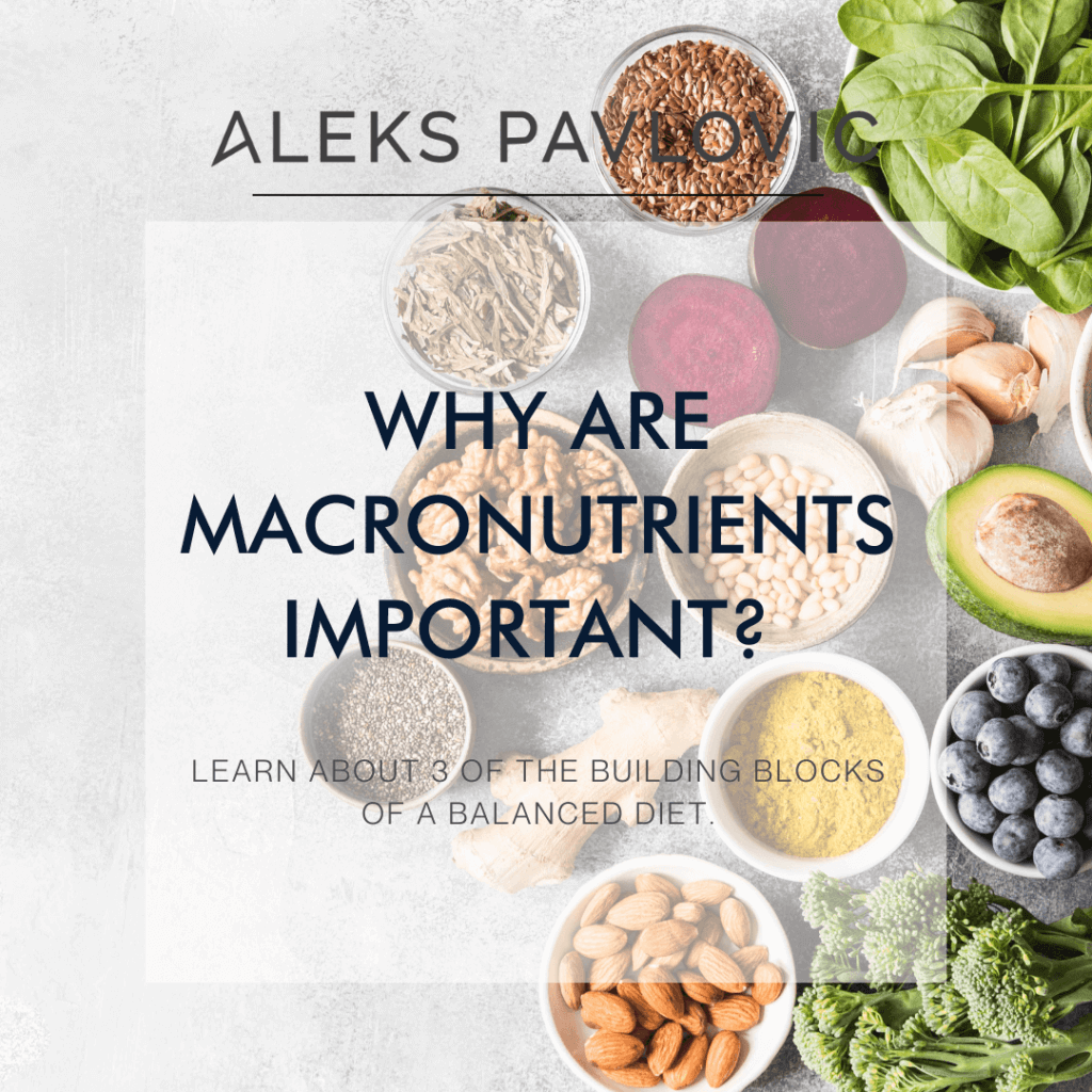 blog graphic for "Why are Macronutrients Important?"